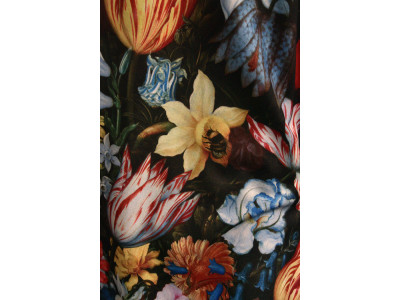 Bloemen in alle kleuren van de regenboog op een donkere achtergrond